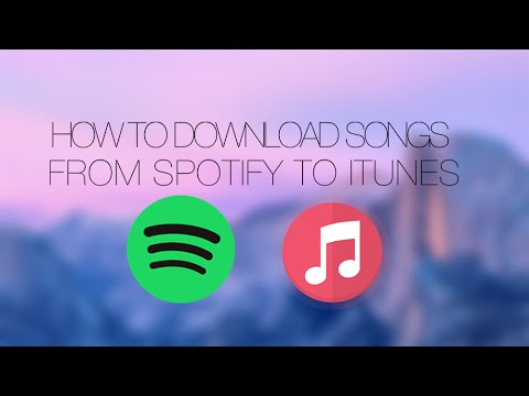 How To Download Spotify Music To Phone For Free